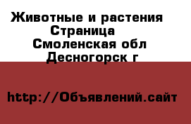  Животные и растения - Страница 4 . Смоленская обл.,Десногорск г.